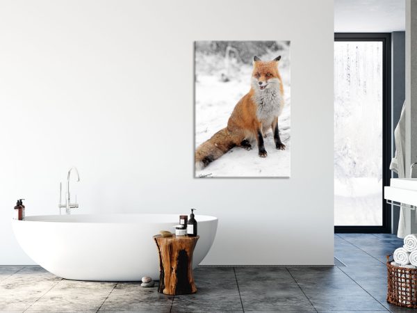 angespannter Fuchs im Schnee, Glasbild Online – Bild 4