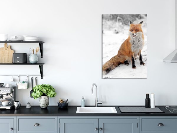 angespannter Fuchs im Schnee, Glasbild Online – Bild 3
